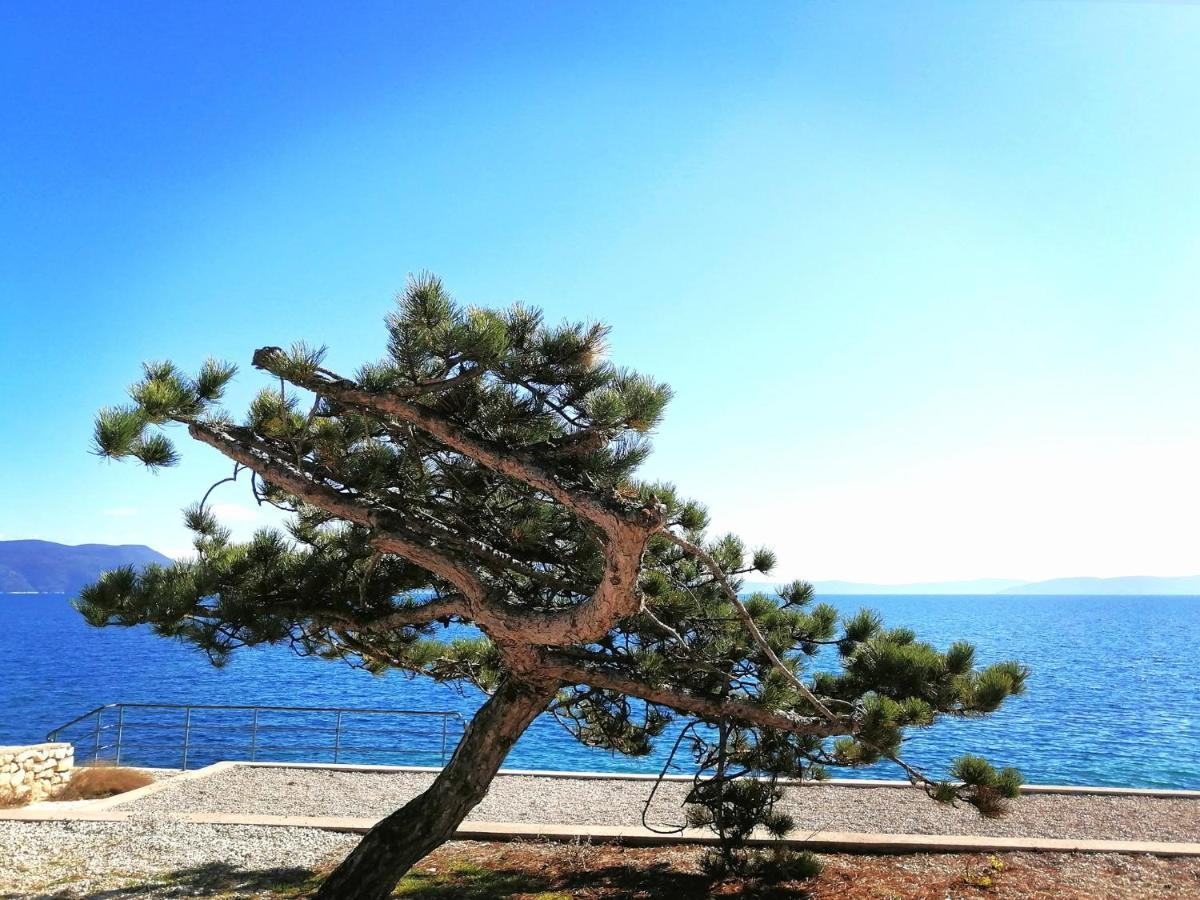 Apartment Layla - Intermezzo With Sea View In Center Of 拉巴克 外观 照片